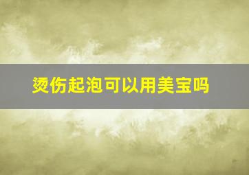 烫伤起泡可以用美宝吗