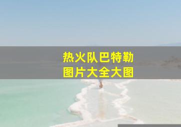 热火队巴特勒图片大全大图