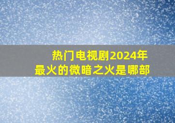 热门电视剧2024年最火的微暗之火是哪部