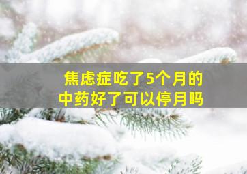 焦虑症吃了5个月的中药好了可以停月吗