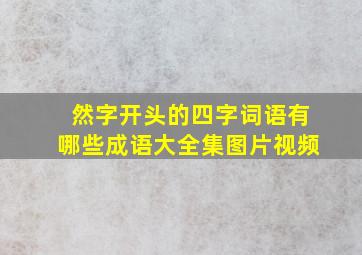 然字开头的四字词语有哪些成语大全集图片视频