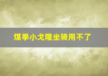 煤拳小戈隆坐骑用不了