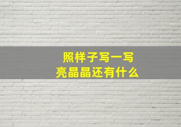 照样子写一写亮晶晶还有什么