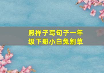 照样子写句子一年级下册小白兔割草