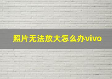 照片无法放大怎么办vivo