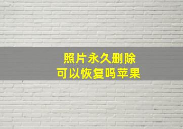 照片永久删除可以恢复吗苹果