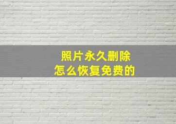 照片永久删除怎么恢复免费的