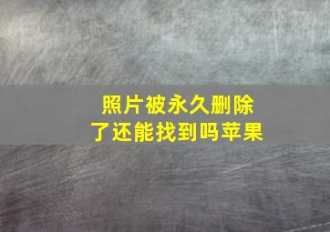 照片被永久删除了还能找到吗苹果