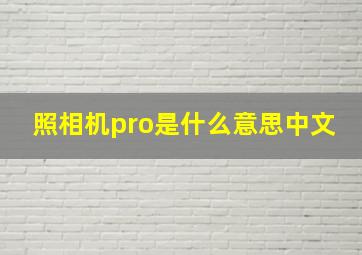 照相机pro是什么意思中文