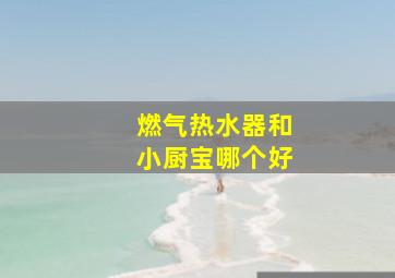 燃气热水器和小厨宝哪个好