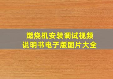 燃烧机安装调试视频说明书电子版图片大全