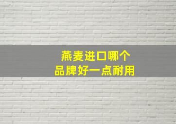 燕麦进口哪个品牌好一点耐用