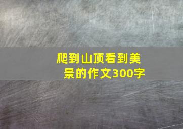 爬到山顶看到美景的作文300字