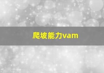 爬坡能力vam