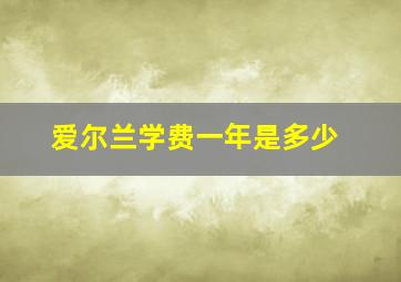 爱尔兰学费一年是多少