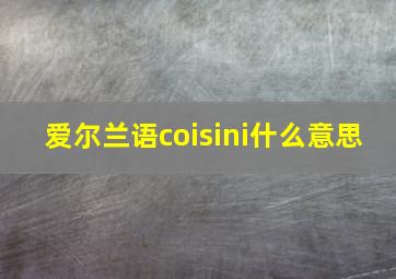 爱尔兰语coisini什么意思