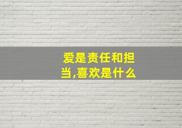 爱是责任和担当,喜欢是什么