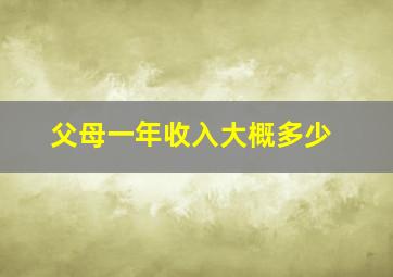 父母一年收入大概多少