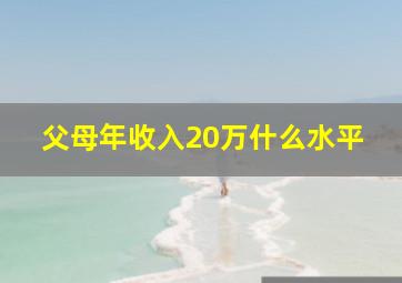 父母年收入20万什么水平