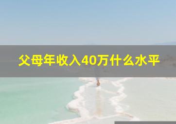 父母年收入40万什么水平