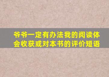 爷爷一定有办法我的阅读体会收获或对本书的评价短语