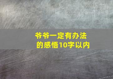 爷爷一定有办法的感悟10字以内