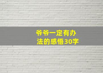 爷爷一定有办法的感悟30字