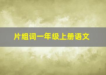 片组词一年级上册语文