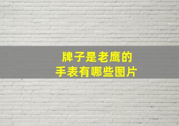 牌子是老鹰的手表有哪些图片