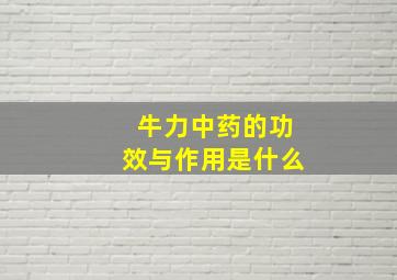 牛力中药的功效与作用是什么