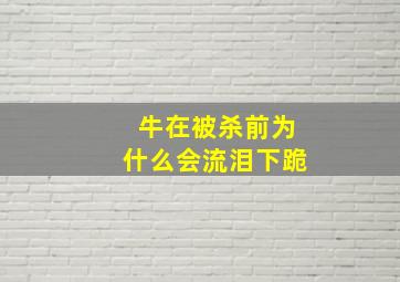 牛在被杀前为什么会流泪下跪