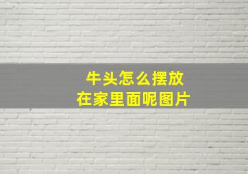 牛头怎么摆放在家里面呢图片