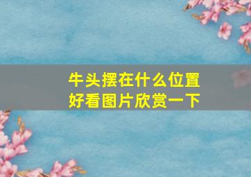 牛头摆在什么位置好看图片欣赏一下