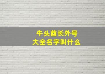 牛头酋长外号大全名字叫什么