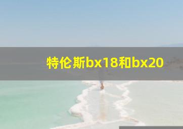 特伦斯bx18和bx20