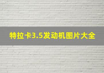 特拉卡3.5发动机图片大全