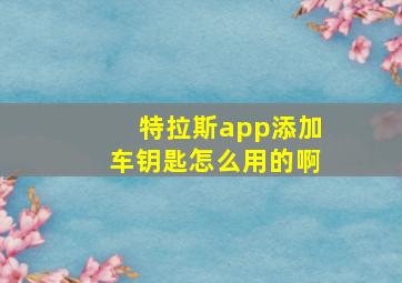 特拉斯app添加车钥匙怎么用的啊