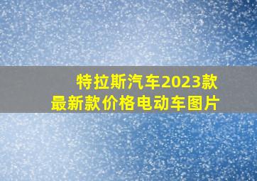 特拉斯汽车2023款最新款价格电动车图片