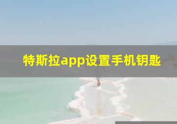 特斯拉app设置手机钥匙