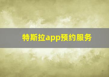 特斯拉app预约服务