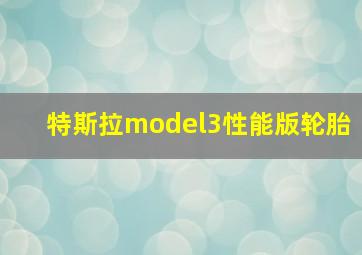 特斯拉model3性能版轮胎