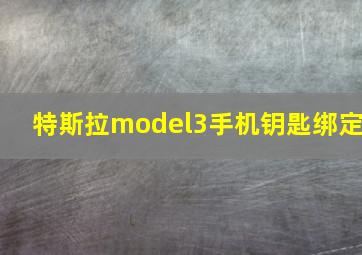 特斯拉model3手机钥匙绑定