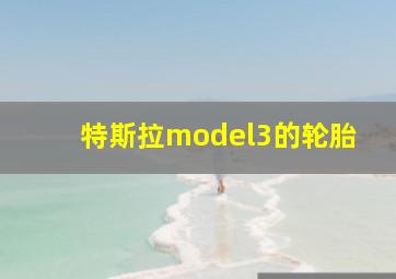 特斯拉model3的轮胎