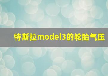 特斯拉model3的轮胎气压