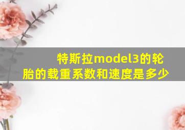 特斯拉model3的轮胎的载重系数和速度是多少