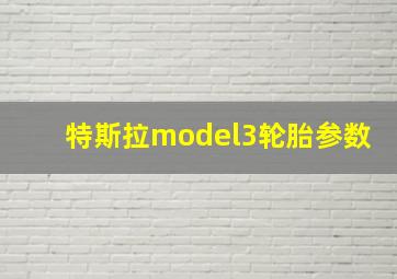 特斯拉model3轮胎参数