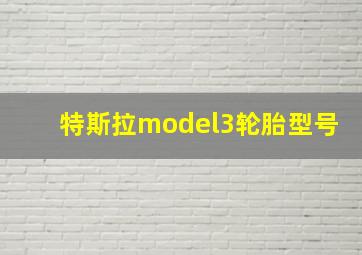 特斯拉model3轮胎型号