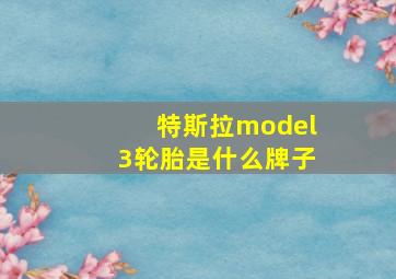 特斯拉model3轮胎是什么牌子