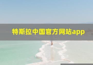 特斯拉中国官方网站app