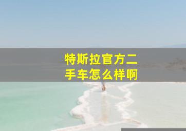 特斯拉官方二手车怎么样啊